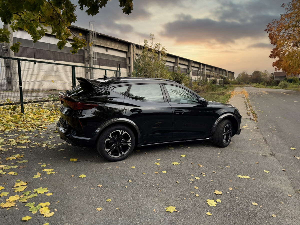 Carbon sideskirt diffusers splitter for Cupra Formentor Facelift - Image 3